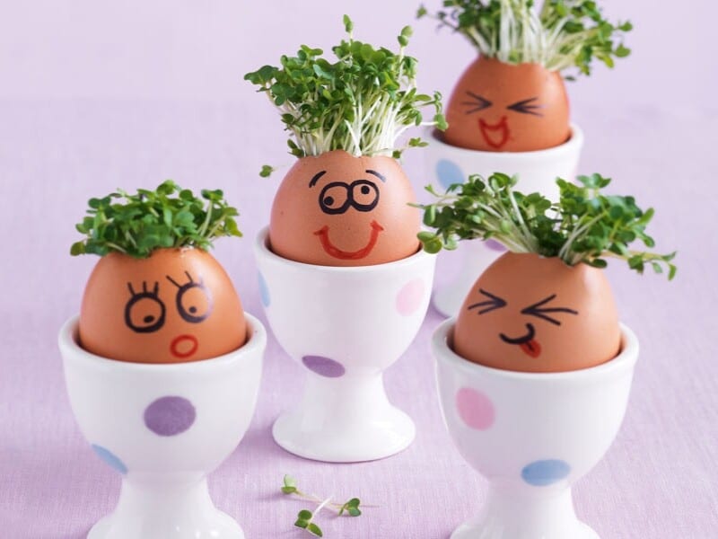 Crâne décoré avec des coquilles d'œufs