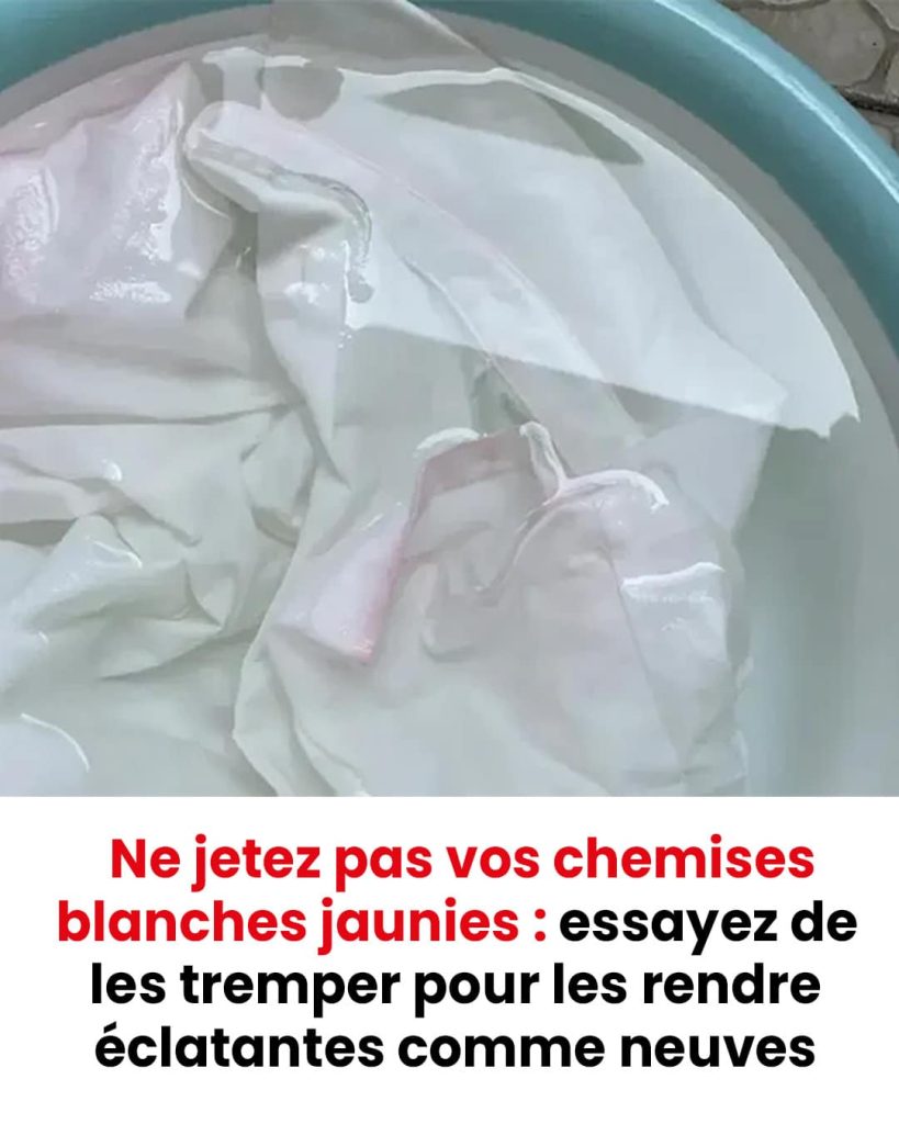 Chemise Blanche Enfant à Boutons - Blouse Formelle Fille Et Garçon - Pour Cérémonie, Photo, Fête