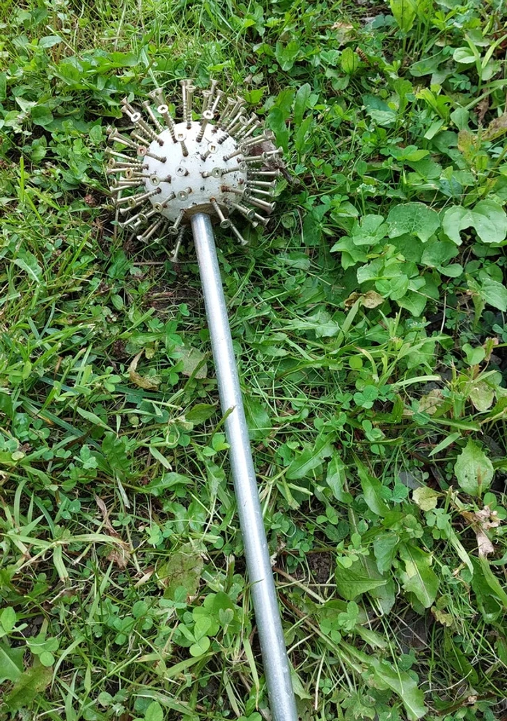 Décorations de jardin en forme d'allium
