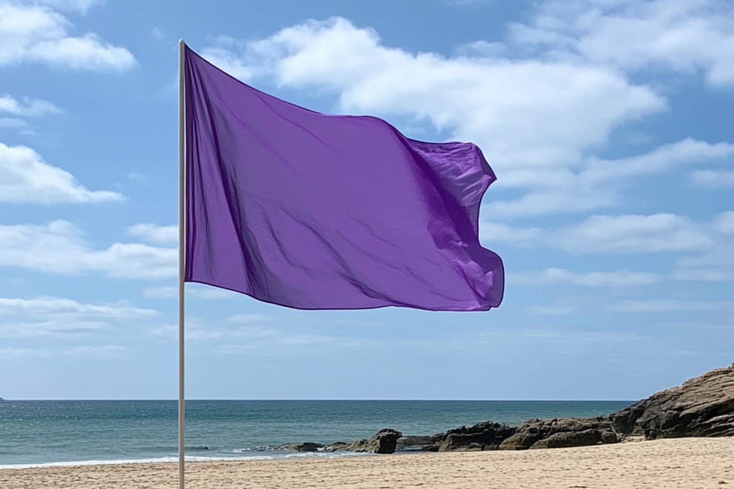Plage avec drapeau violet flottant au vent