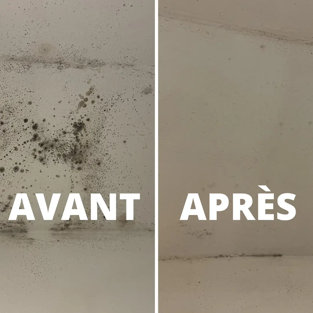 Remède naturel anti-moisissures
