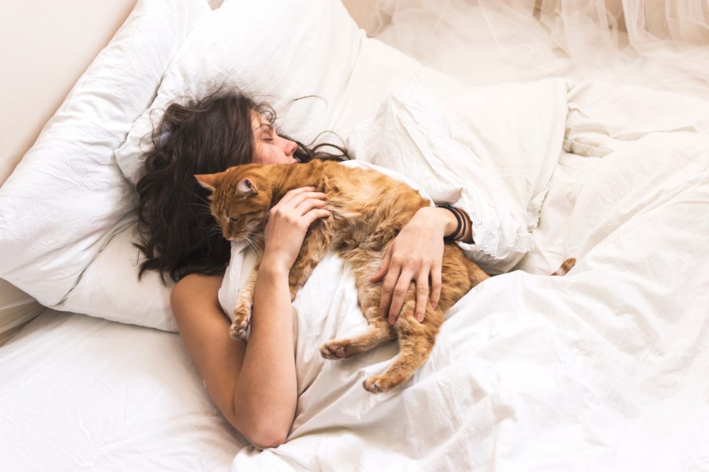 Femme et chat partageant un moment complice