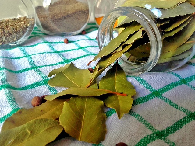 Bouquet de feuilles de laurier séchées