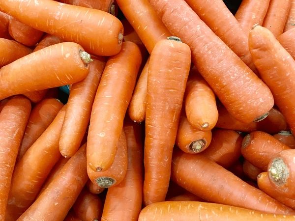 Carottes fraîches coupées en rondelles