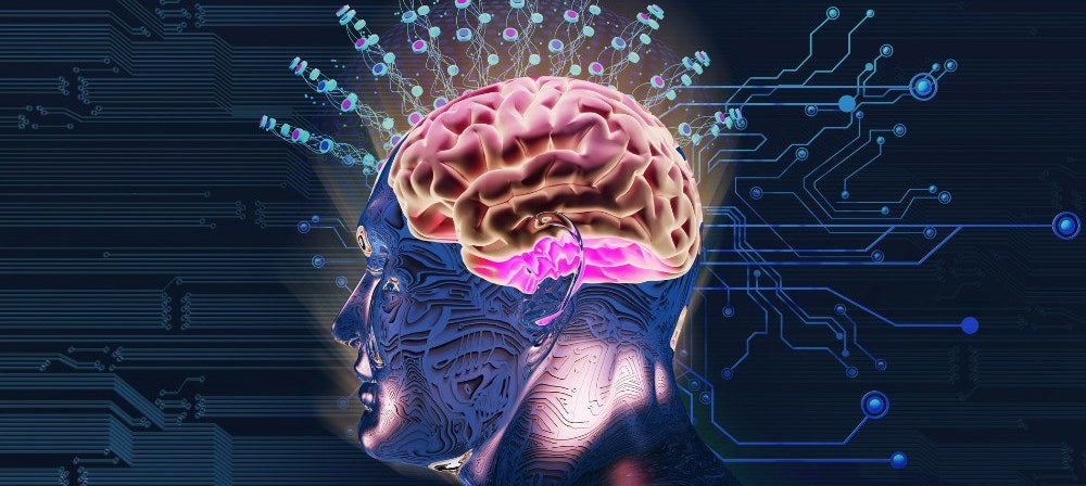 Illustration du cerveau en activité lors d'une énigme visuelle
