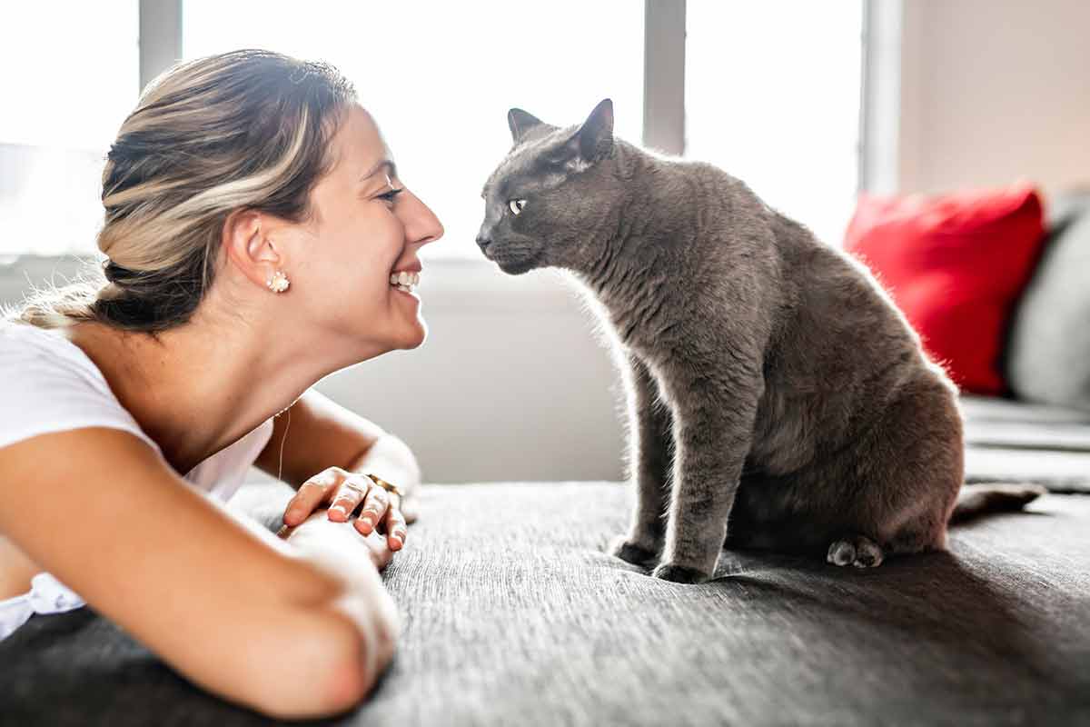 Chat reniflant un visage endormi