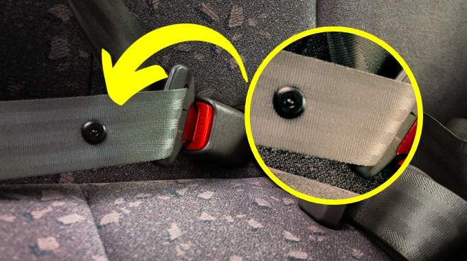 Détail du bouton sur une ceinture de sécurité