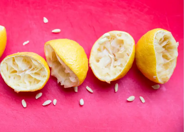 Graines de citron prêtes à germer