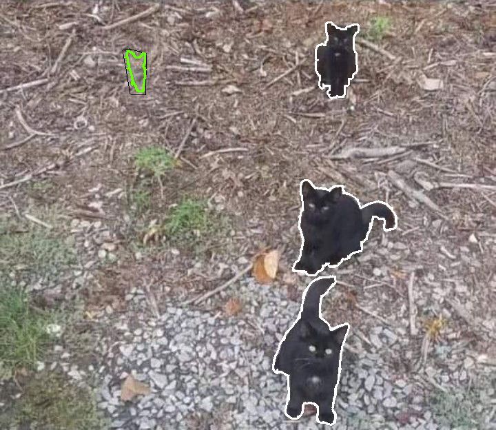 Défi visuel avec trois chats apparents et un quatrième invisible