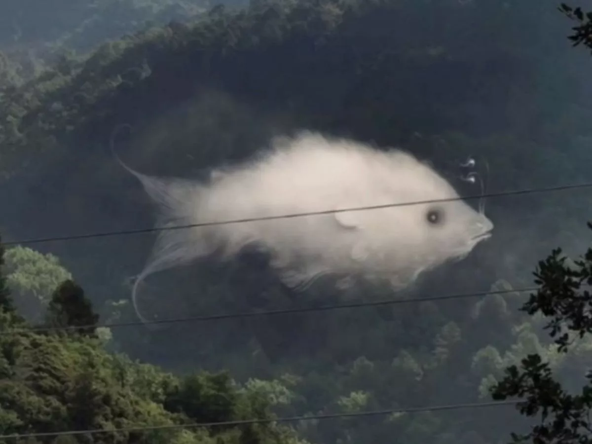 Poisson symbolisant la spontanéité