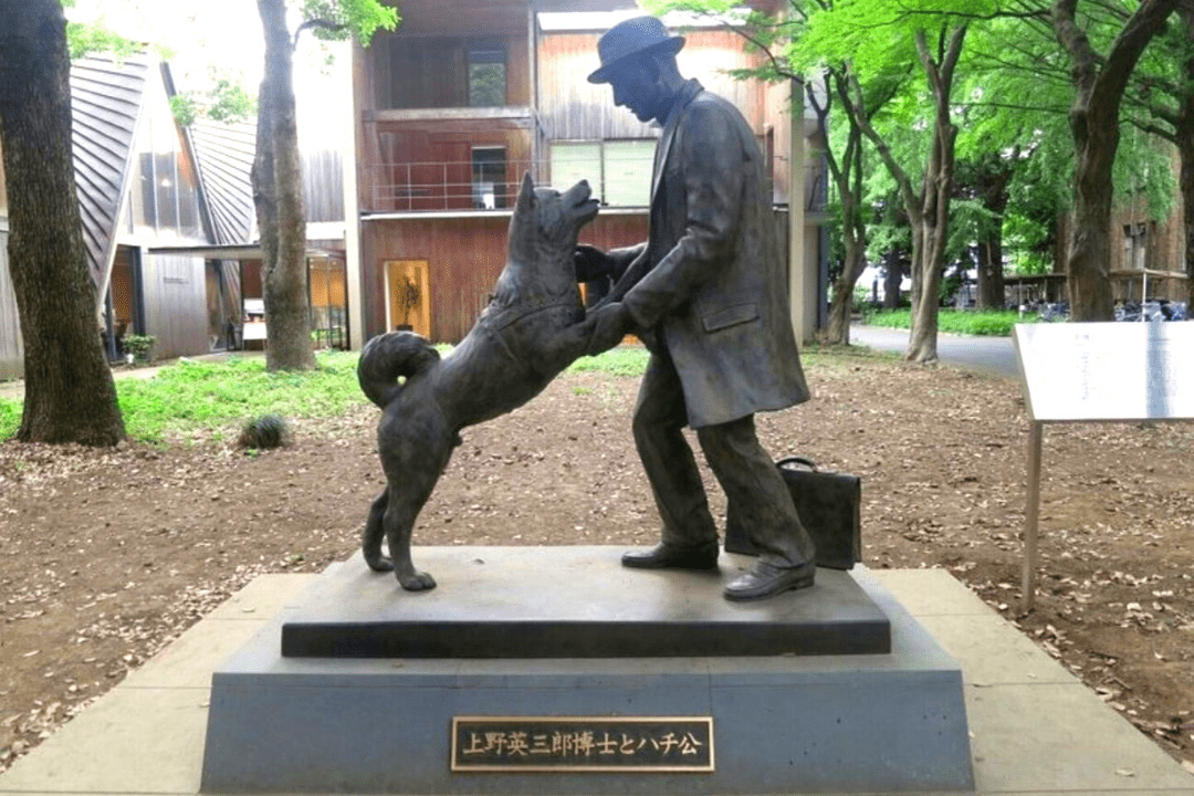 Statue de Hachiko à Tokyo