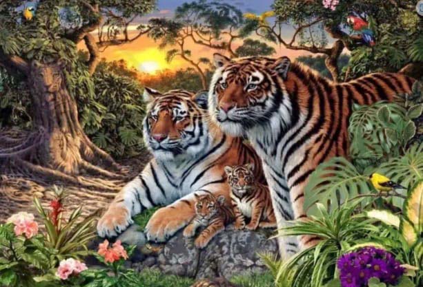 Tigres cachés dans la jungle
