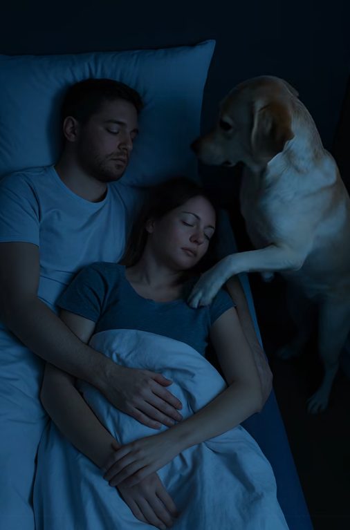 Chien surveillant une porte dans la pénombre