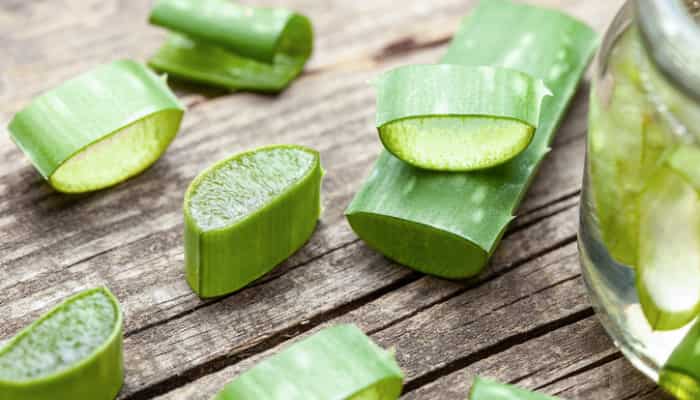 Dentifrice à l'Aloe Vera