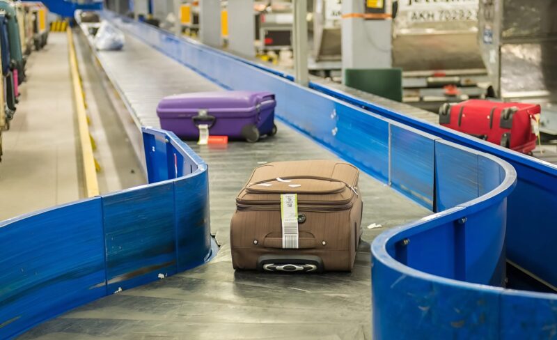 Chien de détection reniflant une valise