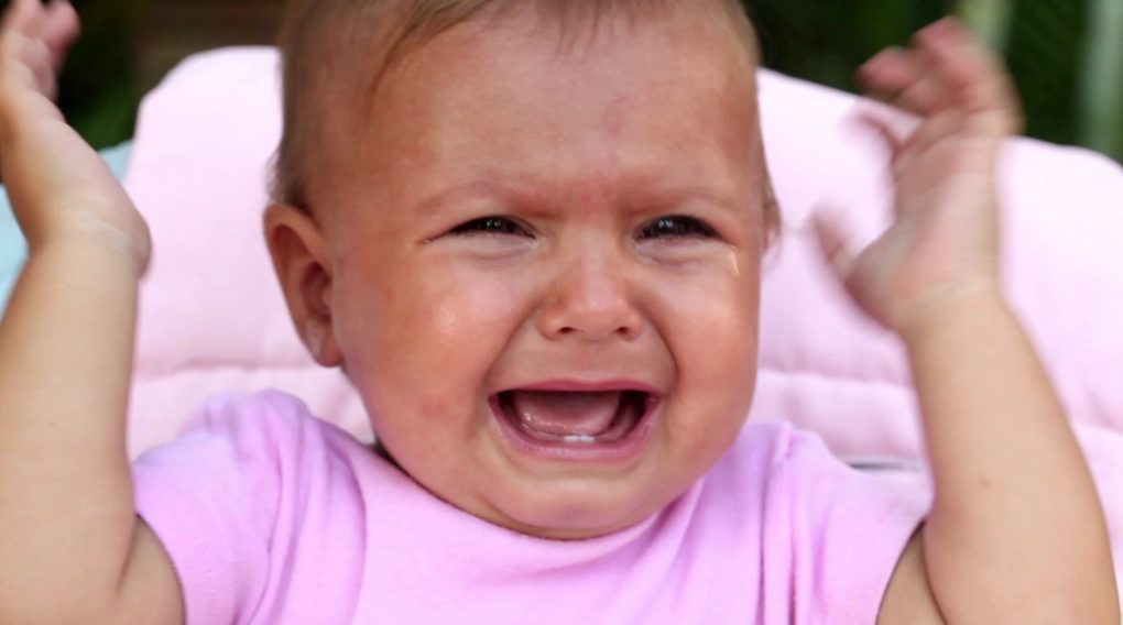 Découverte dans la neige d'une volaille mutilée