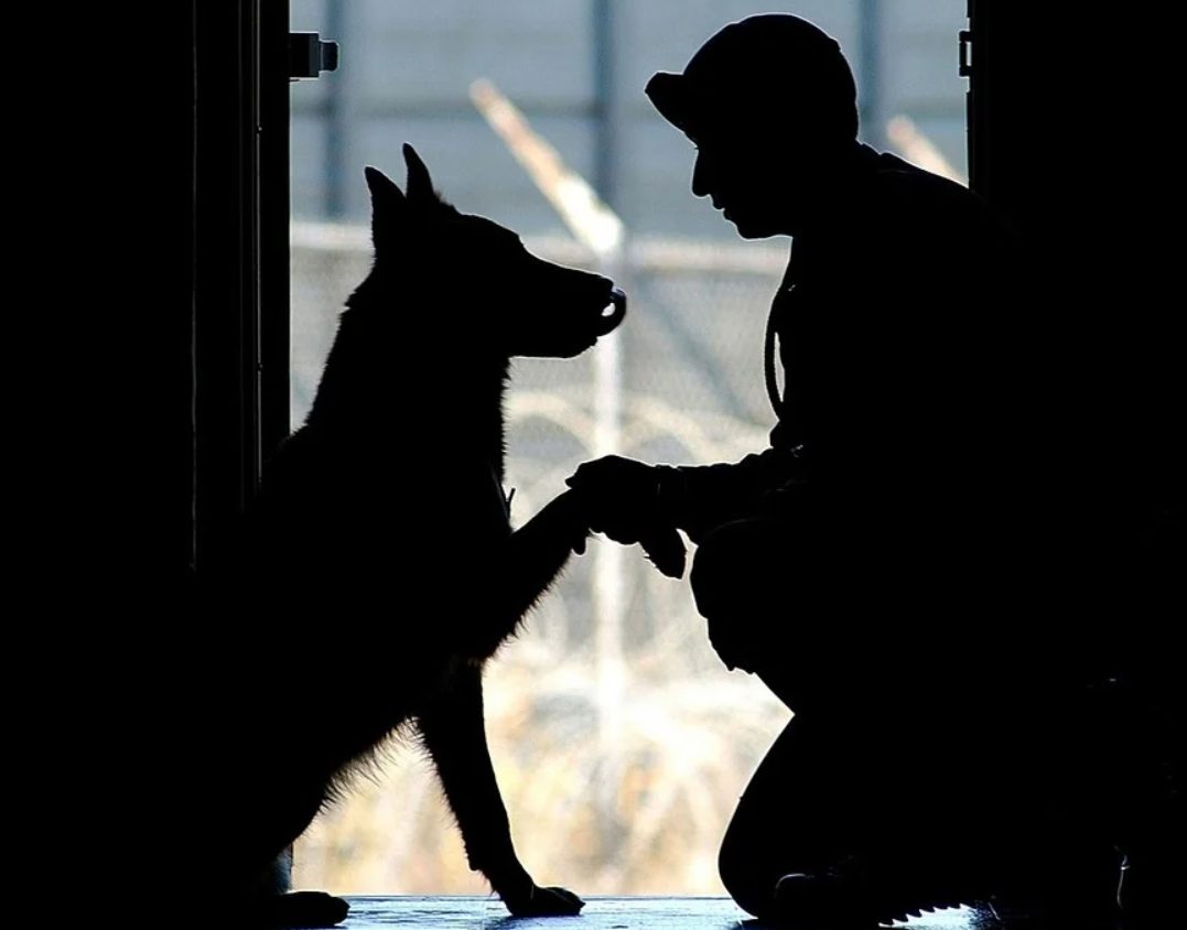 Famille réunie avec Louna dans la maison apaisée
