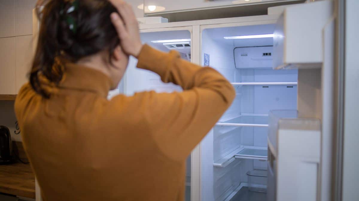 Image montrant la zone du congélateur