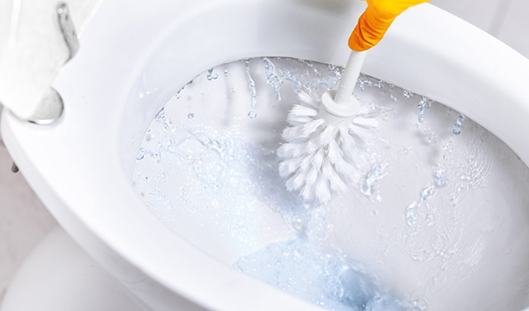 Méthodes pour détartrer les toilettes