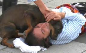 Acteur allongé sur scène avec un chien à ses côtés