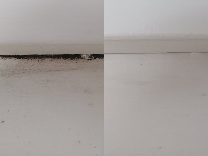 Nettoyage de moisissure sur un mur