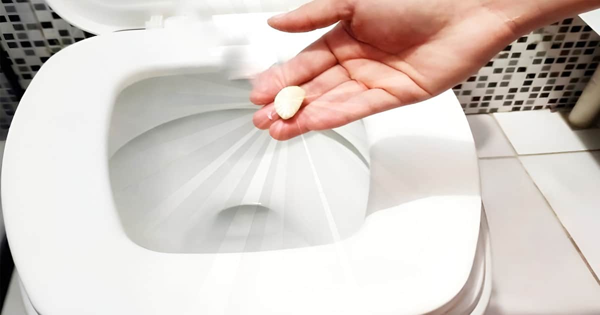 Une gousse d'ail posée à côté d'une cuvette de toilettes propres