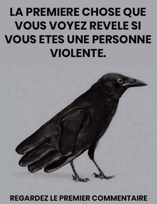 Illusion d'optique : votre perception révèle un aspect caché de votre personnalité