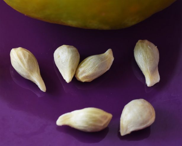 Sélection de pépins d'agrumes pour leurs propriétés santé