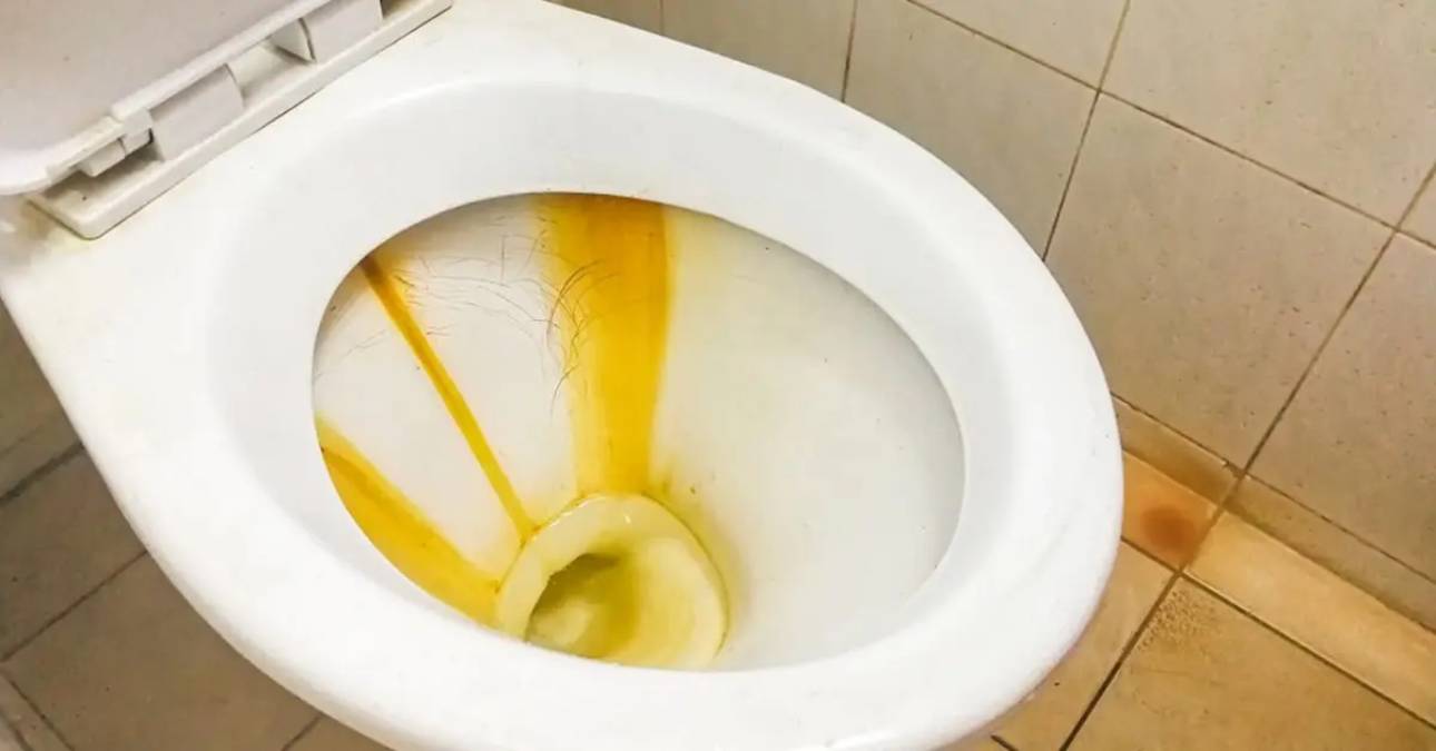 Nettoyage naturel des toilettes avec des produits maison