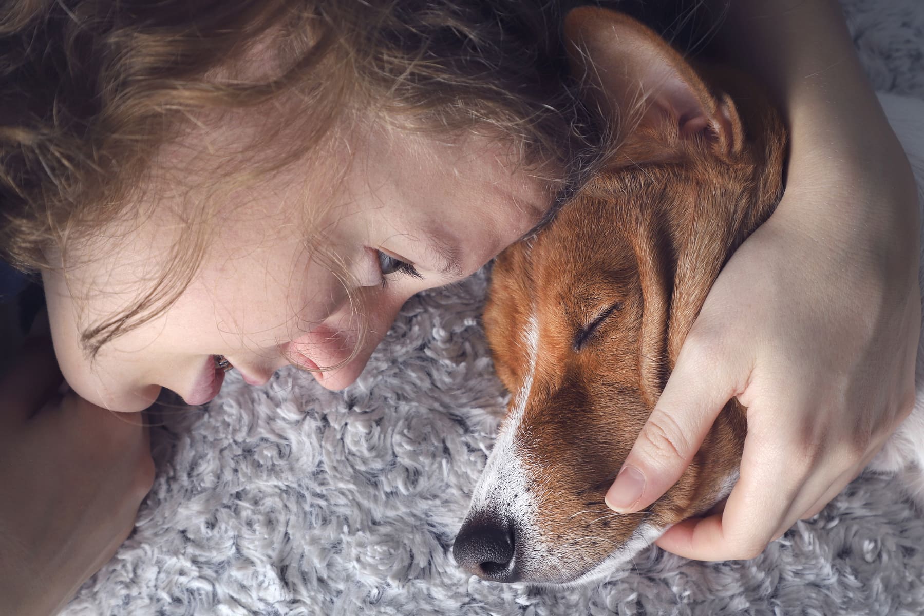 Chien âgé se reposant paisiblement sur un canapé