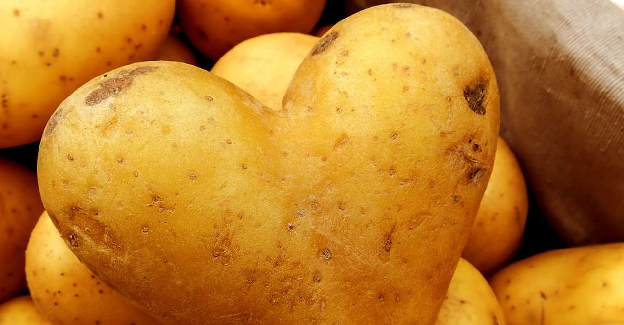 Pomme de terre crue coupée en deux sur un plan de travail