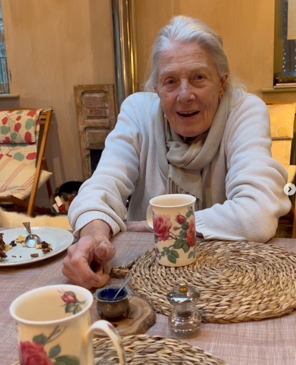 Vanessa Redgrave, portrait d'une légende