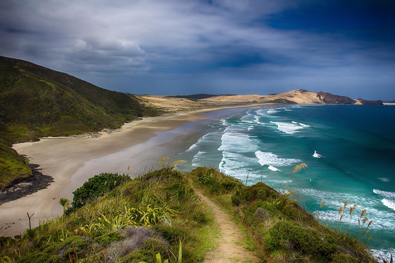 Plage déserte et sereine en Nouvelle-Zélande