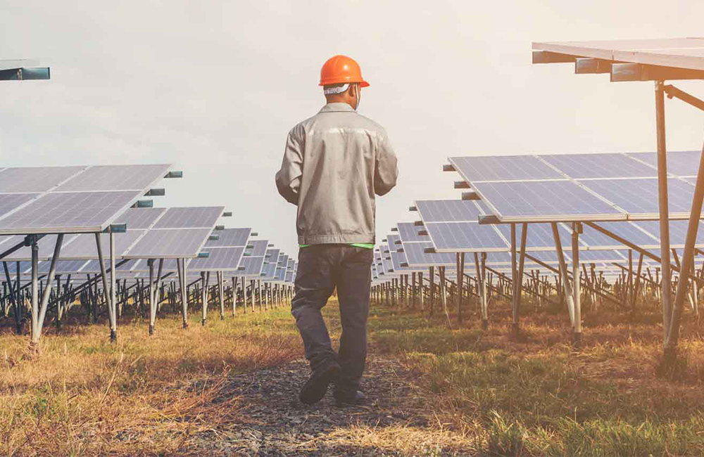 Panneaux solaires dans un champ, symbolisant les énergies renouvelables