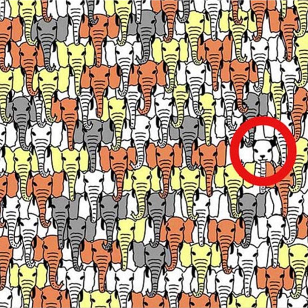 Détail d'éléphants multicolores avec un panda caché