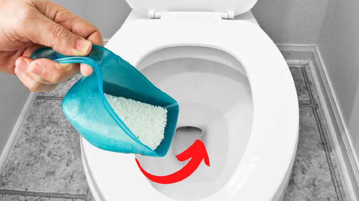 Main versant de la lessive en poudre dans la cuvette des toilettes