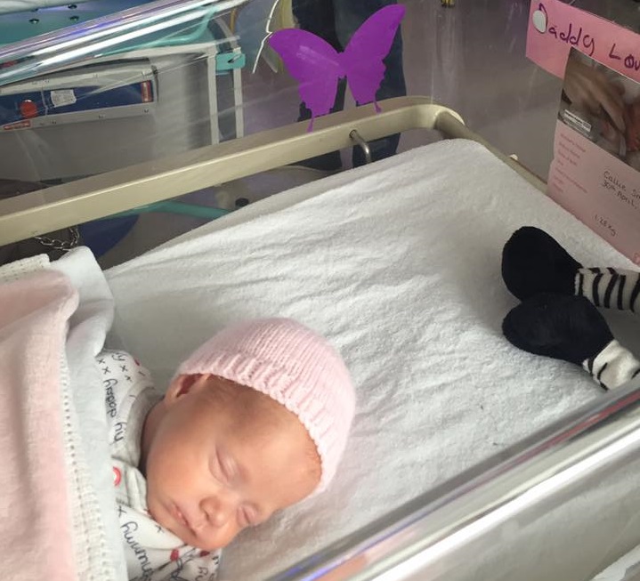 Autocollant papillon violet posé sur une surface